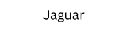 Home jaguar